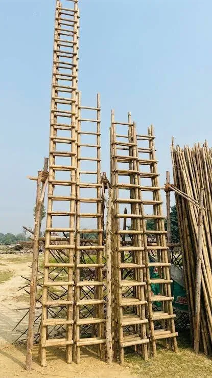 The bamboo ladder